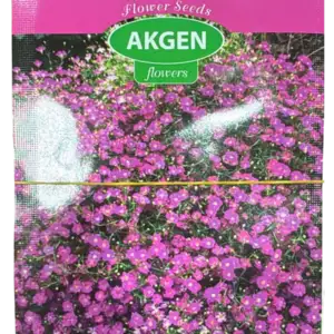 Akgen 5gr Çiçek Tohumu Bahar Yıldızı